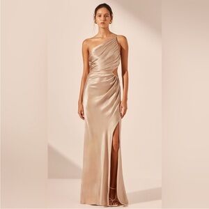 Shona Joy One Shoulder Dress in Champagne